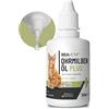 ReaVET Olio per acari dell'orecchio Plus 50 ml rimedio immediato per gatti - contro acari dell'orecchio con camomilla per gatto, cura delicata per prurito all'orecchio, gocce per le orecchie acari