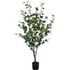 BIZZOTTO PIANTA EUCALIPTO CON VASO H150 0173042