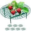 Relaxdays Set da 8 Anelli di Supporto per Fragole, Sostegno in Plastica per Piante da Orto, Rete Anti Muffa, Verde, HxD: 10 x 30 cm