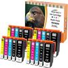 Starlet24 20x 33XL Cartucce Multipack Compatibili con Epson 33XL 33 XL per Epson XP7100 Cartucce XP-540 XP-530 XP-630 XP-635 XP-645 XP-640 XP-830 XP-900