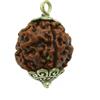 6 Pendenti Mukhi Rudraksha 6 Facce Rudraksh Collo Nepal Origine Energizzata