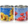 MacFlowers | Piccolo set di coltivazione con girasole e papaveri | Design blu soldi e rosso | Set regalo con due varietà di semi in graziosi barattoli di fiori istantanei