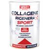 WHY SPORT Collagene Rigenera Sport 336 gr - WHY SPORT