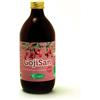 Sangalli Gojisan Puro Succo Goji 100% 500 ml