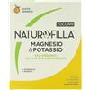 Zuccari Naturofilla Magnesio&Potassio, 28 Stick-Pack da 8g, Gusto Arancia, Con Ginseng, Astragalo e Clorofilla Magnesiaca, Supporto per l'Equilibrio Elettrolitico e il Metabolismo Energetico