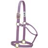Weaver Equine Weaver Leather Cavezza per Cavallo in Nylon, Non Regolabile, Piccola, Colore: Lavanda