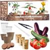 NOPALIA Kit Orto pronto a crescere - Semi Bio (Tomate, Zucchine, Melanzana) - Giardino interno ed esterno - Regalo originale per giardinaggio fai da te - Decorazione ecologica - Made in France