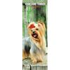 Magnet & Steel Calendario sottile 2026 Yorkshire Terrier