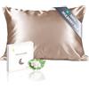 townssilk Federa seta cuscino,100% naturale seta di gelso 19momme,doppia faccia,benefica per capelli e pelle,ipoallergenica,cerniera nascosta,1 pz,50x75cm,Lightbronze