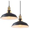iDEGU 2 Pezzi Lampadario a Sospensione Vintage Industriale 27cm Plafoniera in Metallo E27 Lampadario Soffitto Retro Lampada a Sospensione per Cucina Salotto Sala da Pranzo Cameretta (Nero + Bianco)