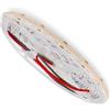 Blendend Striscia Led 24V DC Maori Ip20 256 Led/m - 5 Metri Blu