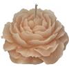 Cereria Di Giorgio - Candela a forma di Camelia - Colore Cipria - Diametro 8 cm Altezza 3.5 cm - Sacchetto Regalo - Artigianale