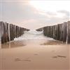 Pro-Art-Bilderpalette PRO-Art gla1138b murale, Arte su Vetro 'Vanishing Point i' 50 x 50 cm