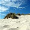Pro-Art-Bilderpalette PRO-Art gla014b - Stampa con Copertura in Vetro Summer Breeze II, 50 x 50 cm