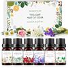 SilverChry Set di Oli Essenziali,6X10ml, Fragranza Premium, Adatta per Diffusori, Umidificatori e Può Essere Utilizzata anche per Realizzare Candele Profumate e Saponi Artigianali