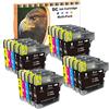 LOSMANN D&C LC985 Cartucce d'inchiostro compatibili per Brother LC-985 XL per Brother DCP-J125 DCP-J140W DCP-J315W DCP-J315X DCP-J415 DCP-J515W MFC-J220 MFC-J265W MFC-J270W MFC-J280W MFC-J410 (20-Pack)
