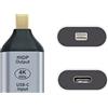 ChenYang Convertitore da USB C a Mini Displayport (il terminale mini DisplayPort deve essere collegato al monitor, non all'host. È necessario utilizzare il cavo da USB C a C da 10 Gbps. Altri cavi non