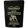GreenValence Tè di Menta Piperita Selvatica - Foglie Tagliate dal Portogallo Raccolte a Mano | Essiccate al Sole | Tisana Naturale Senza Additivi | Aroma Intenso (250 g)