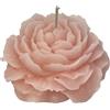 Cereria Di Giorgio - Candela a forma di Camelia - Colore Pesca - Diametro 8 cm Altezza 3.5 cm - Sacchetto Regalo - Artigianale