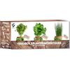 NOPALIA Kit erbe aromatiche e aromatiche - Mini orto interno ed esterno - Semi biologici (basilico, prezzemolo, erbe cipollina) - Idea regalo insolito e cucina - Prodotto ecologico - Made in France