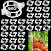 ZDQC 300 mollette per pomodoro, clip per piante, clip per pomodoro, clip per piante e pomodori, clip per pomodori, clip per piante piccole, clip per pomodori, clip per piante