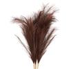 PATIKIL Pampas Decor Alti 37,8 Pollici, 7 Pezzi Grandi Pampas Artificiali Lunghi E Morbidi Erba Finta Essiccata Per Decorazioni Casa Boho Vaso Matrimonio Parete Terra, Marrone Scuro