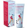 SPA (SOC.PRO.ANTIBIOTICI) SpA CONDRODOL ARTICOLAZIONI 100ML