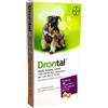 centrovete shop online CentroVete Bayer Vermifugo antiparassitario per Cane in compressa (6 CPR) - combatte i Principali parassiti intestinali