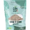 CIBO CRUDO crudo biologico vegan Farina di Grano Saraceno Naturalmente Senza Glutine e Biologico - 500g. Da Grano Saraceno Integrale e Bio. Da Usare per Ricette Dolci Crostate e Biscotti O Pasta Muffin Pizza e Pane.