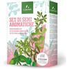 ® Set Di Semi Piante Aromatiche - 12 Tipi: Crescione, Rucola, Aneto, Maggiorana,