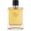 Hermès Terre d'Hermès Intense Eau de Parfum Intense (uomo) - ricaricabile 100 ml