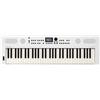 Roland GO:KEYS 5 Music Creation Keyboard | Tastiera a 61 Note | Generatore ZEN-Core Con Oltre 1.000 Suoni Integrati | Diffusori Stereo Incorporati | Ingresso per Microfono - Bianco