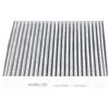 KAVO PARTS Filtro, Aria abitacolo KAVO PARTS FCA-10002C