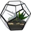 Relaxdays Terrario Piante, Mini Serra in Vetro e Zinco, HLP 12x14x14 cm, Piantine Grasse, Vaso Ecosistema Aperto, Nero