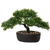 Briful, Bonsai artificiale di ginepro, pianta artificiale per interni, decorazione con vaso in ceramica per casa, tavolo, ufficio, scrivania, bagno, mensola, camera da letto, soggiorno, arredamento in