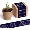 Resetea Gemelli Kit Autoccultivo, Rosmarino