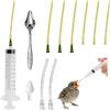 Noviatrix 16 Pezzi Alimentatore Pappagalli, Siringhe 10 ml Trasparente Uccelli Alimentazione, Siringhe per Uccelli Giovani, per Rettili e Piccoli Animali Domestici per L'alimentazione Liquida