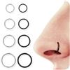 BodyBonita Piercing Naso Cerchio Acciaio Chirurgico 316L 8 pezzi 16G Septum Piercing alle Labbra Trago Helix Orecchino Conch Piercing Daith Nostril Anello Cartilagine Elice Tragus Rook Nero Argento
