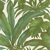 A.S. Création Livingwalls Carta da parati Versace Carta Da Parati Giungla Carta da parati tessuto non tessuto 10.05 m x 0.70 m Verde Beige Bronzo Made in Germany 962405 96240-5