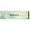 Ediloca Disco SSD Interno M.2 2280 da 2TB NVMe PCIe Gen 3x4, Fino a 2150MB/s Lettura, Cache SLC Dinamica, Compatibile con PC, Desktop e Laptop (EN680E)