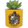 Harry Potter Half Moon Bay - Vaso per piante da interno, in ceramica, per interni, vasi per piante da interni, vasi decorativi per interni, idea regalo per interni, vaso per piante con Tassorosso