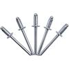 Marcopol Confezione da 100 rivetti ciechi 4,8 x 10 mm, testa a cupola aperta, rivetti a scatto, DIN 7337, rivetti in acciaio e mandrino in acciaio (100, 4,8 x 10 mm)