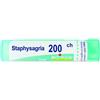 BOIRON Staphysagria*200k 80gr 4g - 046429953 - igiene-e-salute