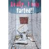 1art1 Empire 326782 - Poster Spiritoso con Scritta Really ... I Only Farted!! Dimensioni 61 x 91,5 cm