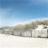 Pro-Art-Bilderpalette PRO-Art gla1137b murale, Arte su Vetro 'Inviting Sabbia Dunes' 50 x 50 cm