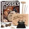Piano Potato Kit Scavo Fossili per Bambini - Scava 5 fossili autentici, giocattolo scientifico STEM, regalo di geologia e paleontologia per bambini e bambine dai 6 ai 12 anni
