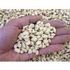 Kanuma hard quality 5/10 mm (1 kg - c.ca 2,8 lt), per bonsai di acidofile