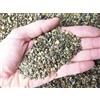 Sabbia silicea, quarzite Geosism 2/5 mm (10 kg)