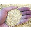 Lupino, lupini macinati 1/3 mm (5 kg), concime per agrumi