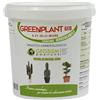 Greenplant, NPK(Mg) 6-21-36+(3) + microelementi (1 kg), concime in polvere idrosolubile per piante e fiori